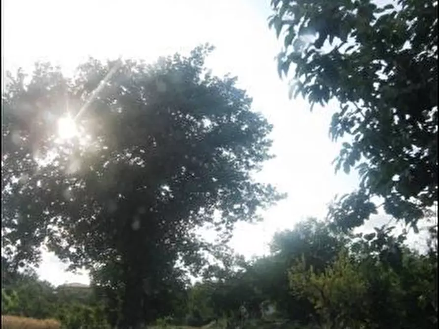 Immagine 2 di Rustico / casale in vendita  a Offida