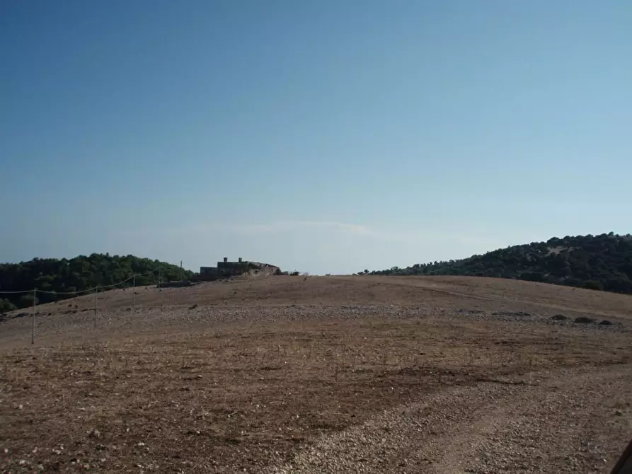 Immagine 9 di Terreno agricolo in vendita  a Mattinata