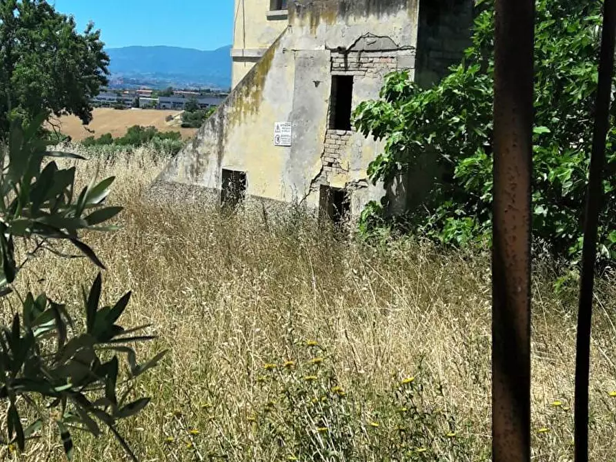 Immagine 2 di Rustico / casale in vendita  in Contrada Civita a Colonnella