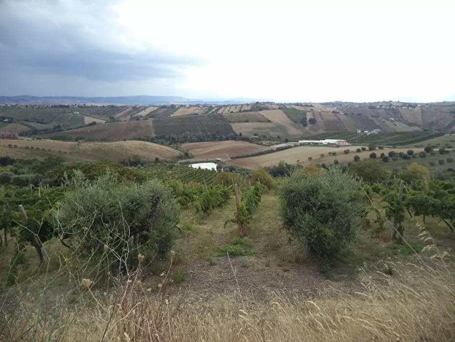 Immagine 20 di Casa indipendente in vendita  a Colonnella