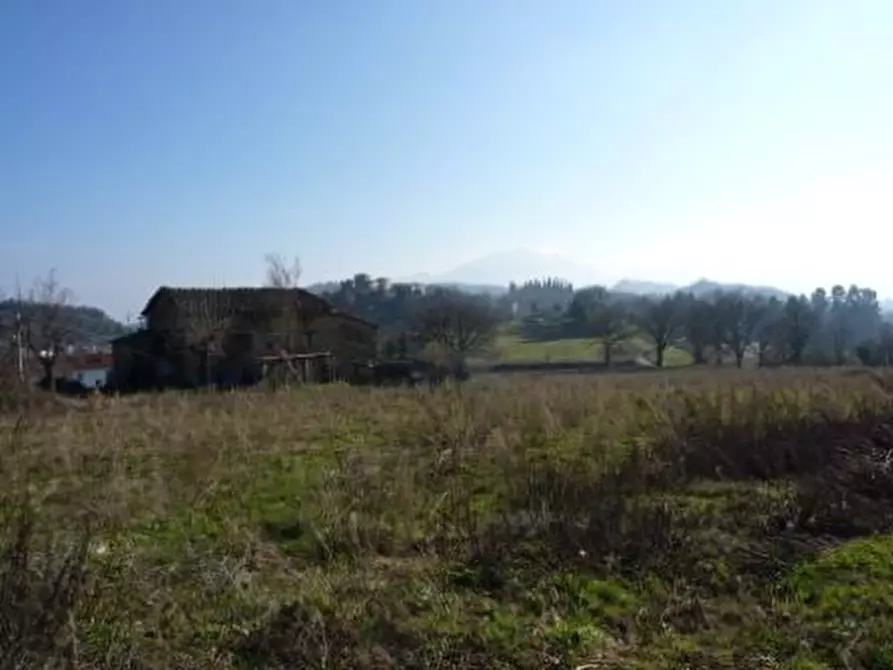 Immagine 11 di Rustico / casale in vendita  in case sparse a Venarotta