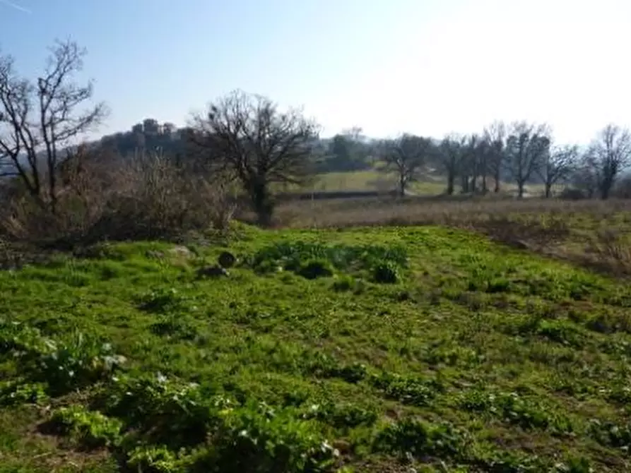 Immagine 8 di Rustico / casale in vendita  in case sparse a Venarotta