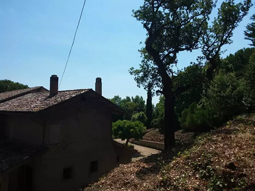 Immagine 34 di Terreno edificabile in vendita  a Tortoreto