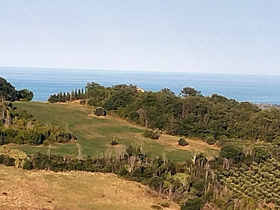 Immagine 3 di Casa indipendente in vendita  a Monterubbiano