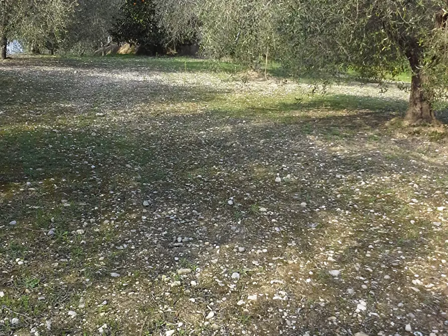 Immagine 21 di Casa indipendente in vendita  a San Benedetto Del Tronto