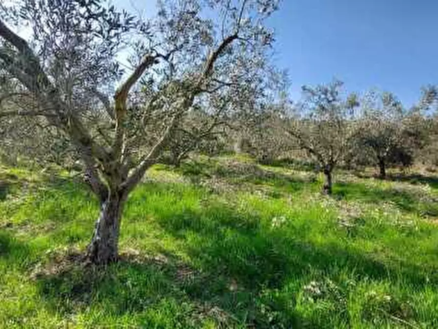 Immagine 3 di Terreno agricolo in vendita  in Contrada Monte Aquilino a San Benedetto Del Tronto