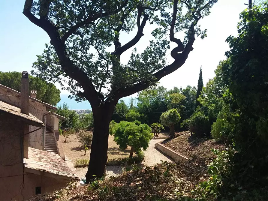 Immagine 11 di Terreno edificabile in vendita  a Tortoreto