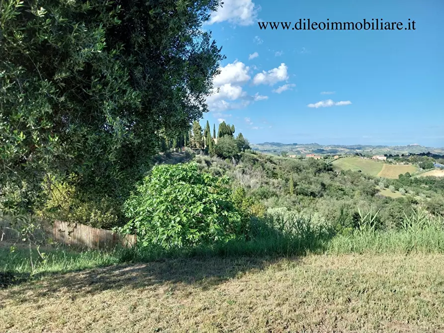 Immagine 5 di Casa indipendente in vendita  a Castorano
