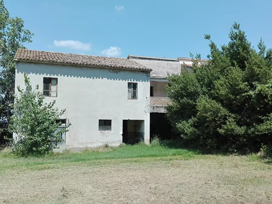 Immagine 2 di Casa indipendente in vendita  a Controguerra