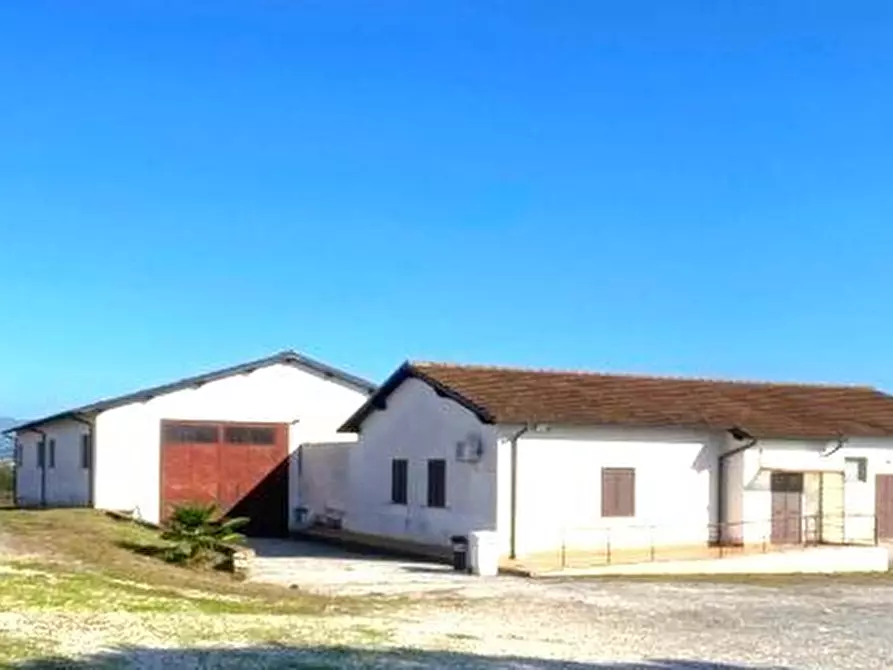 Immagine 3 di Capannone industriale in affitto  a Fiano Romano
