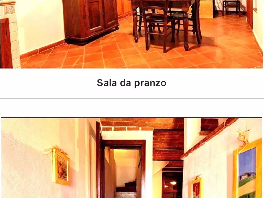 Immagine 22 di Azienda agricola in vendita  a Monterotondo Marittimo