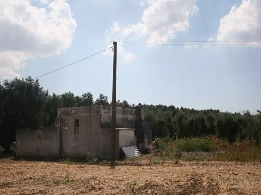 Immagine 33 di Terreno agricolo in vendita  in contrada mandrò a Cutrofiano
