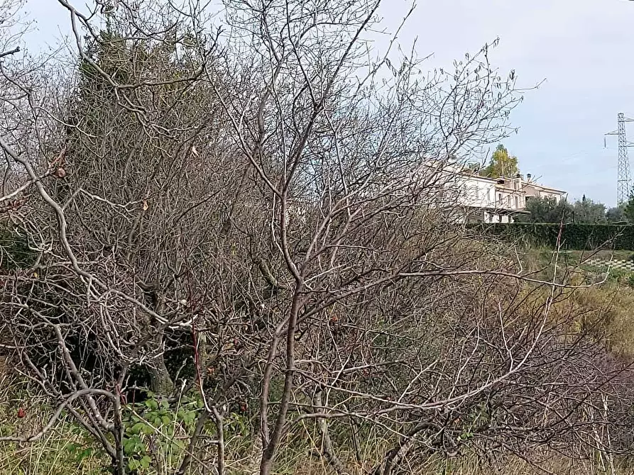 Immagine 24 di Rustico / casale in vendita  a San Benedetto Del Tronto