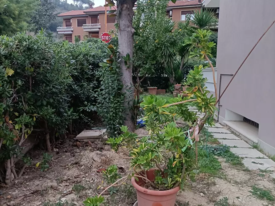 Immagine 37 di Casa indipendente in vendita  a Ascoli Piceno