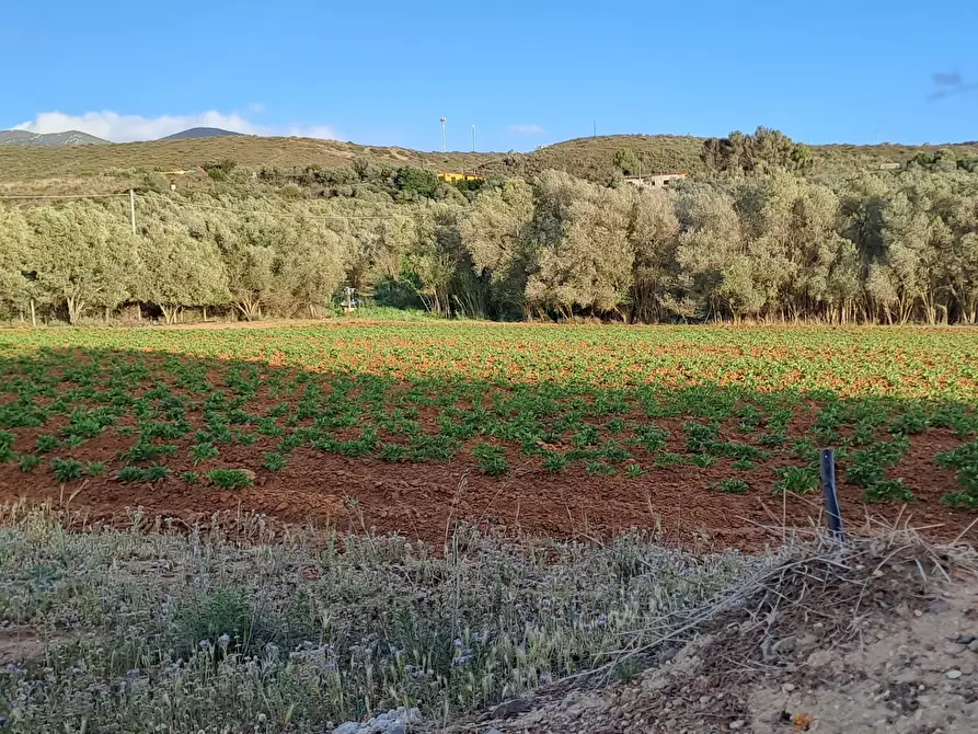 Immagine 24 di Terreno agricolo in vendita  in Via dei Gladioli a Quartucciu