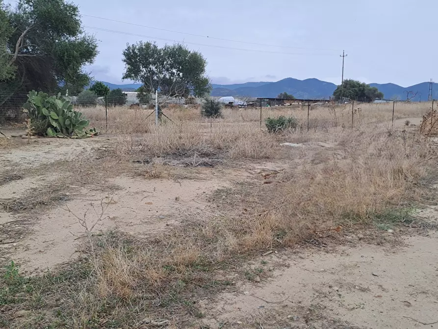 Immagine 9 di Terreno agricolo in vendita  a Quartucciu