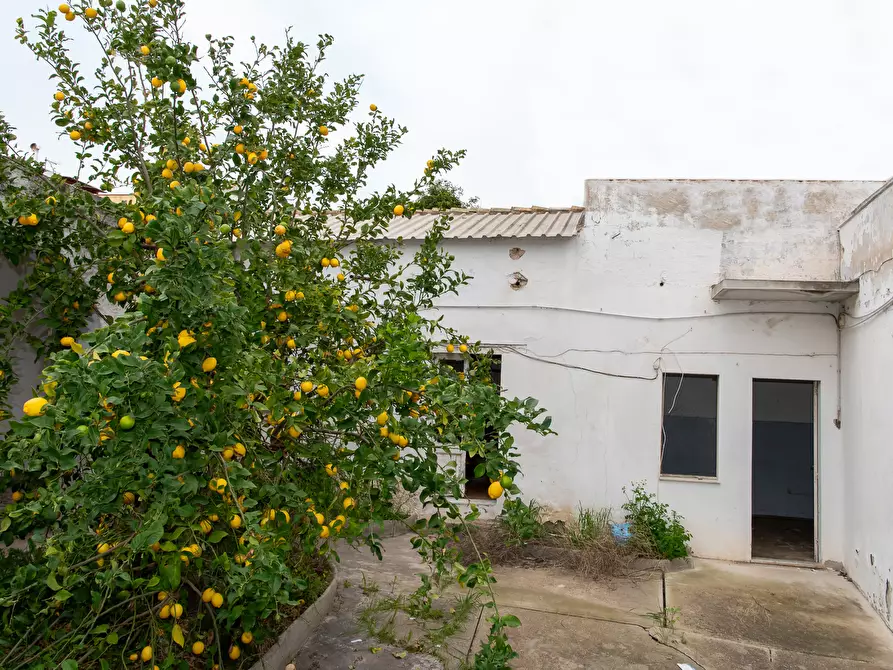 Immagine 6 di Casa indipendente in vendita  a Monserrato