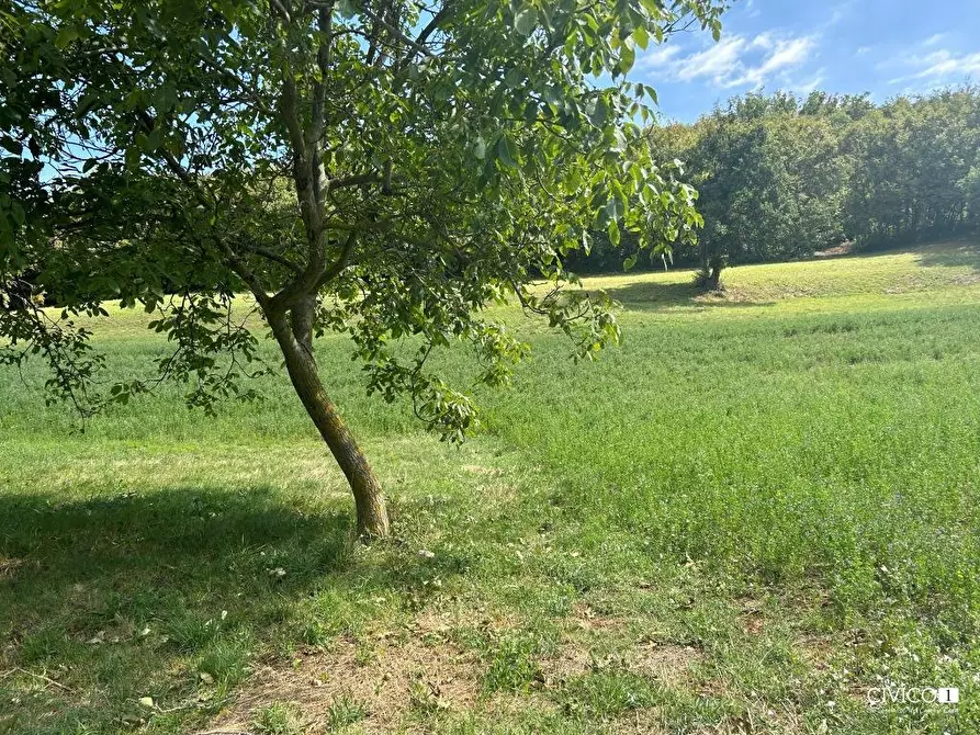 Immagine 24 di Rustico / casale in vendita  in Via Fagnini 8 a Villaga