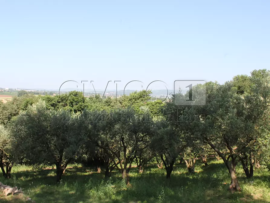 Immagine 6 di Villa in vendita  a Vicenza