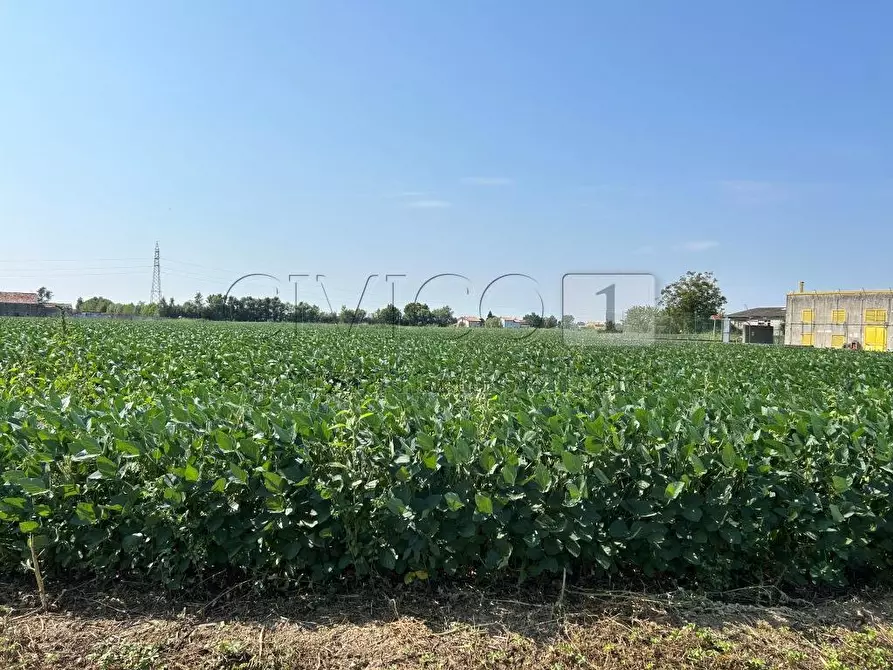 Immagine 14 di Terreno agricolo in vendita  in Via Volpara a Castegnero