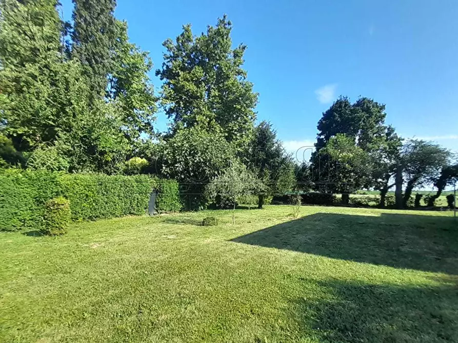 Immagine 3 di Casa bifamiliare in vendita  a Rubano