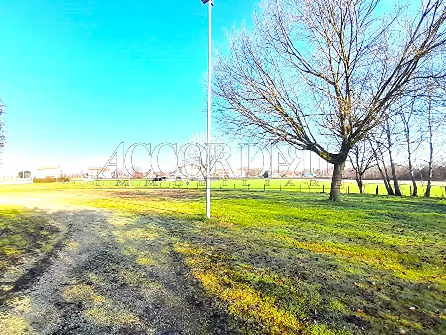 Immagine 15 di Bar / Ristorante in vendita  in Via Riccardo Riporti 8 a Piazzola Sul Brenta