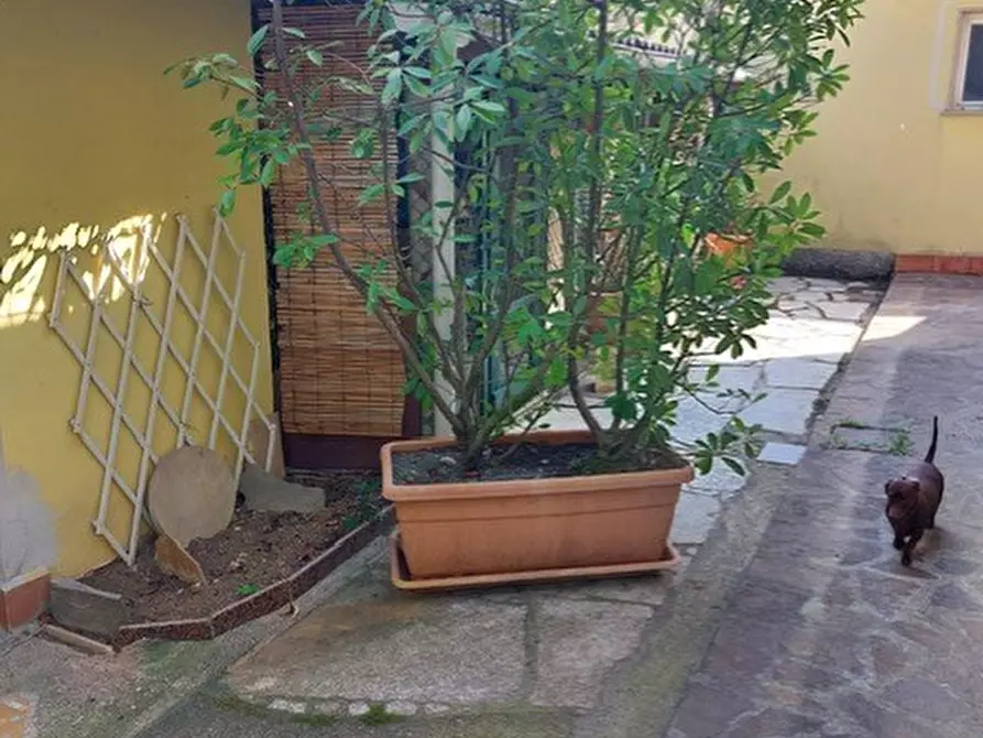 Immagine 29 di Casa semindipendente in vendita  in CORSO 40 a Ortonovo