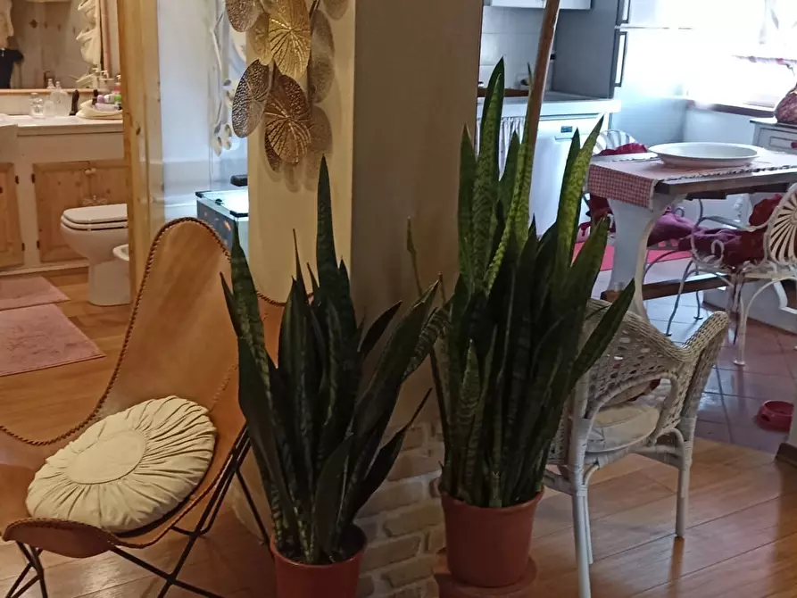 Immagine 2 di Appartamento in vendita  in Via Carlo Fontana 11 a Carrara