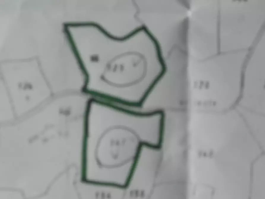 Immagine 6 di Terreno agricolo in vendita  in Via Vittorio Veneto 55 a Castelnuovo Magra