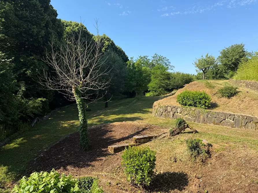 Immagine 74 di Rustico / casale in vendita  in Via Molino del Piano 1 a Castelnuovo Magra
