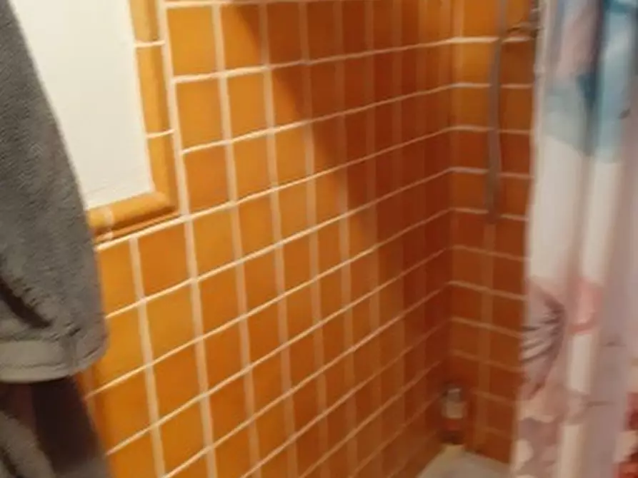 Immagine 21 di Casa semindipendente in vendita  in Viale XX Settembre 207C a Carrara