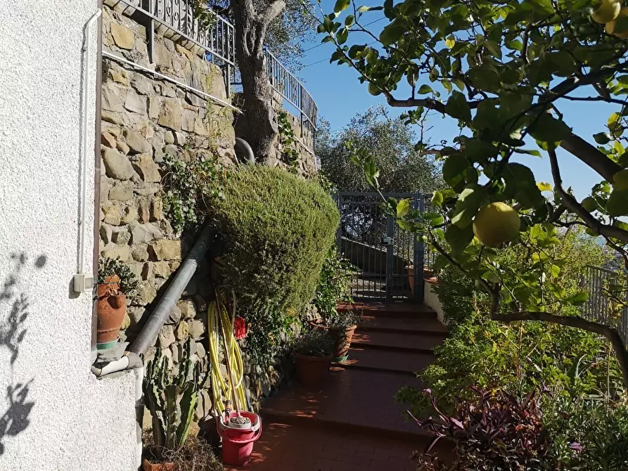 Immagine 12 di Casa semindipendente in vendita  in Via per Nicola 24 a Ortonovo