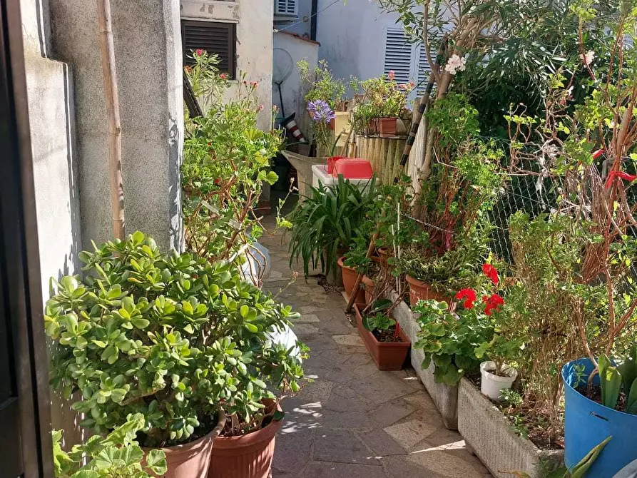 Immagine 18 di Terratetto in vendita  in Via Ex Pulga 2 a Ameglia