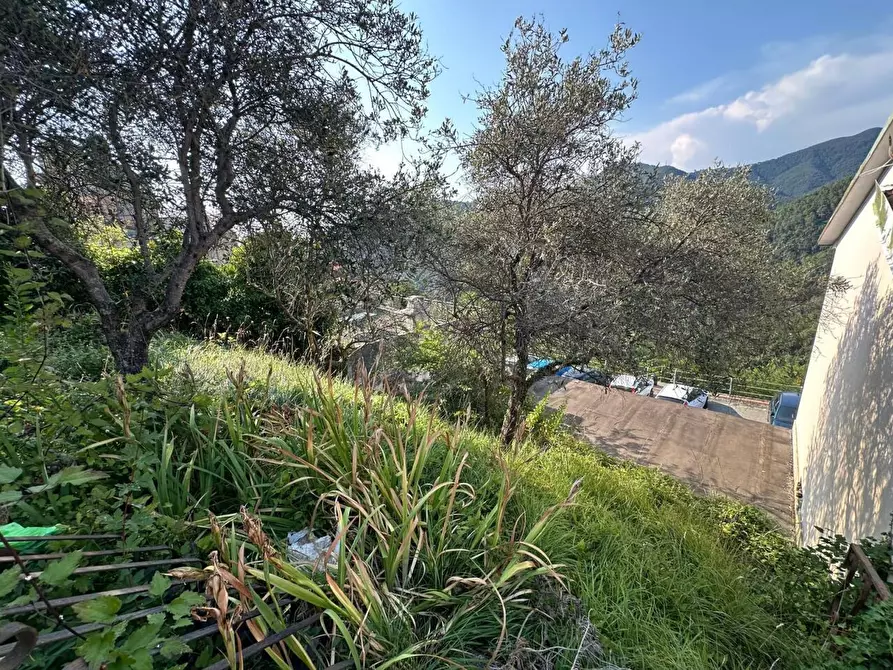 Immagine 12 di Terratetto in vendita  in ORTONOVO a Ortonovo