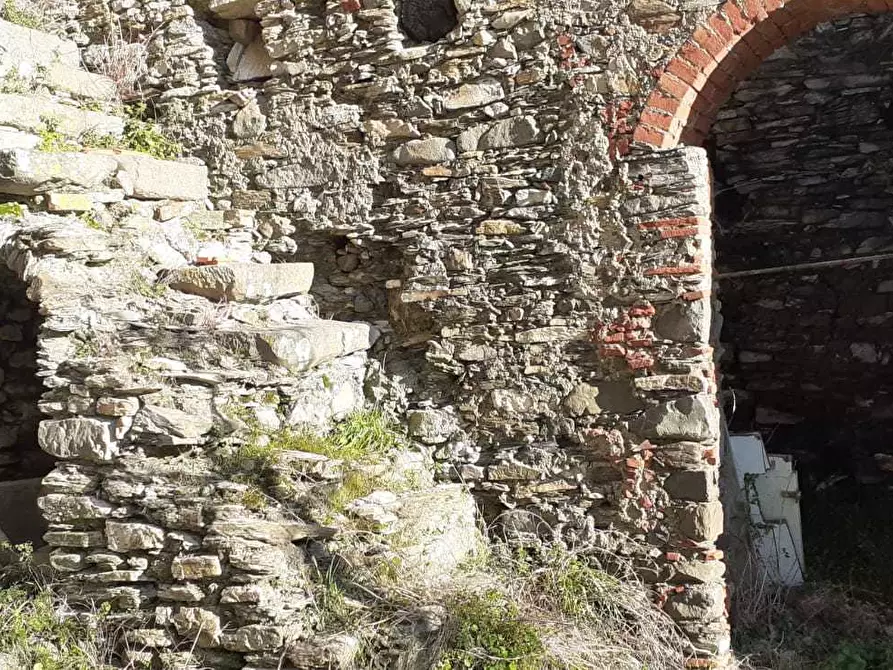 Immagine 27 di Terratetto in vendita  a Ortonovo