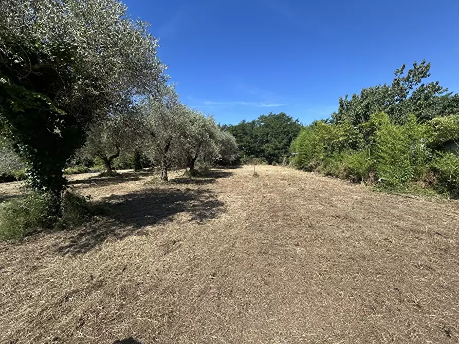 Immagine 2 di Terreno edificabile in vendita  in Via Isola 44 a Ortonovo