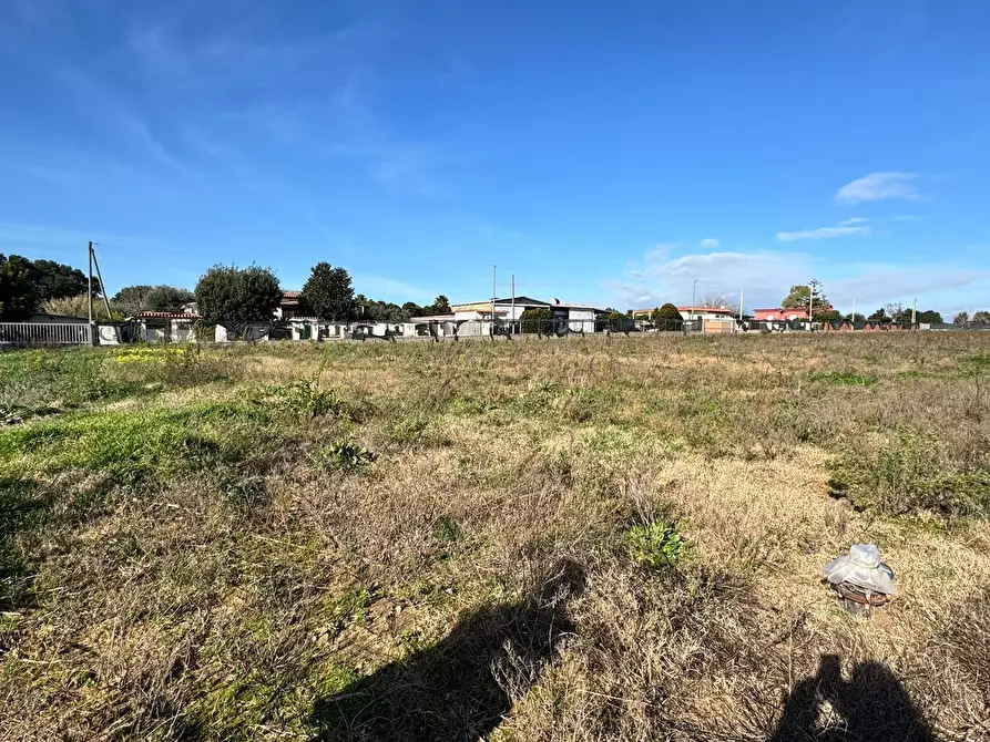 Immagine 5 di Terreno agricolo in vendita  in Via Monte Circeo 21 a San Felice Circeo