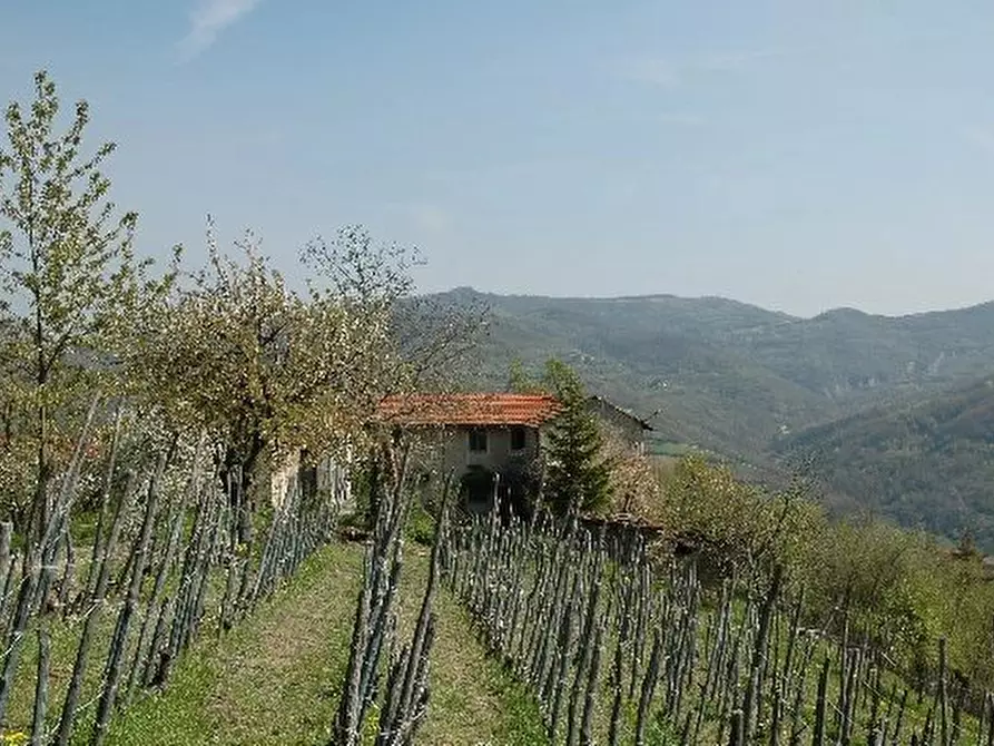Terreno edificabile in vendita in borgata monte a Camerana