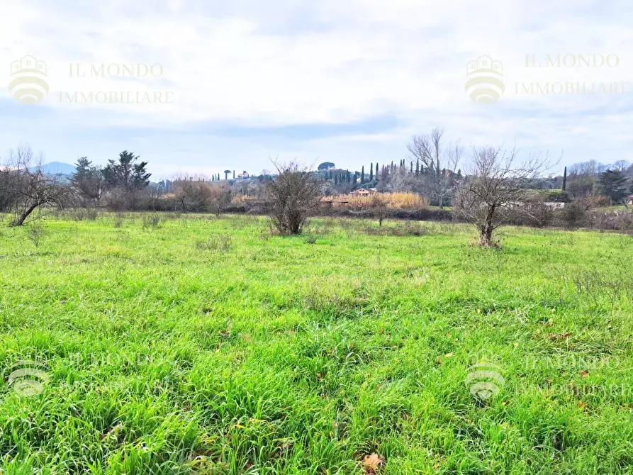 Terreno in vendita in Località Albanetta a Palombara Sabina