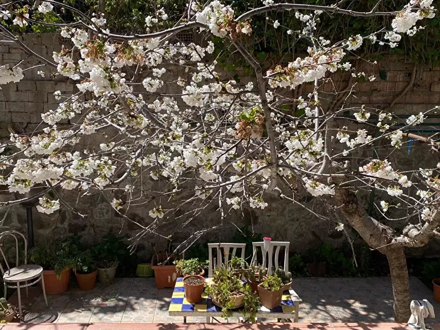 Immagine 28 di Casa trifamiliare in vendita  a Altilia