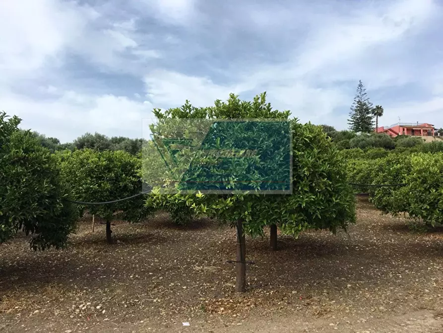 Immagine 7 di Terreno in vendita  a Siracusa