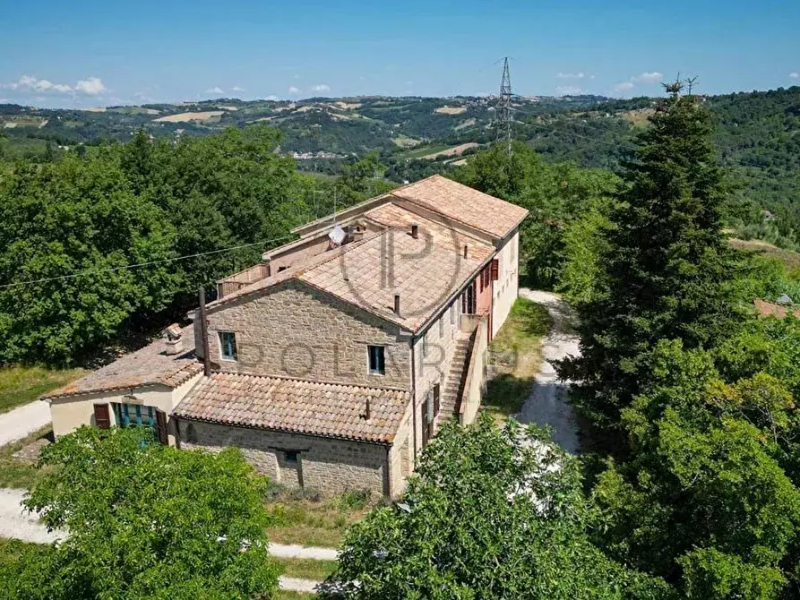 Immagine 14 di Terreno edificabile in vendita  in Serra San Quirico a Serra San Quirico