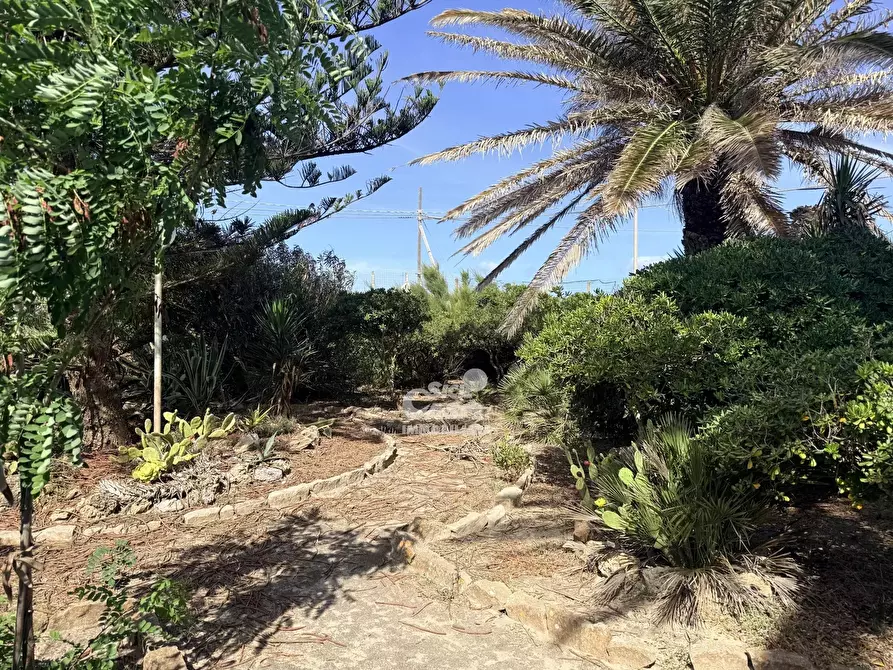 Immagine 8 di Terreno edificabile in vendita  a Marsala