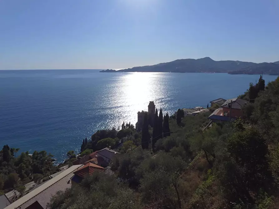 Immagine 27 di Terreno edificabile in vendita  in San Pietro de Rovereto a Avegno