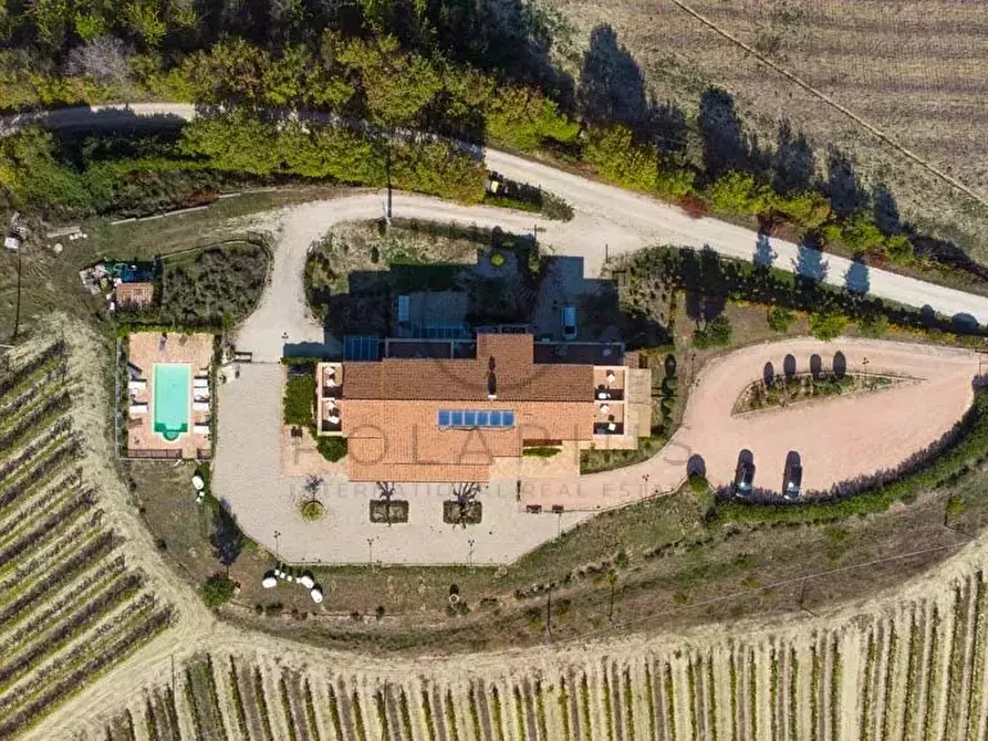 Immagine 4 di Terreno edificabile in vendita  in ripatransone a Ripatransone