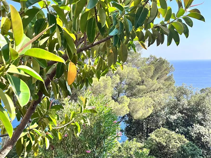 Immagine 31 di Casa trifamiliare in vendita  in Tigullio Rocks a Chiavari