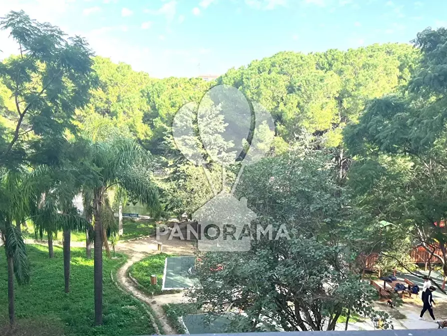 Immagine 16 di Casa trifamiliare in vendita  in via kennedy a Partinico