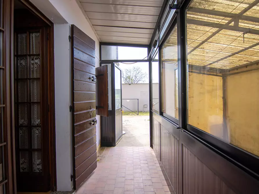 Immagine 24 di Terreno edificabile in vendita  a Campagna Lupia