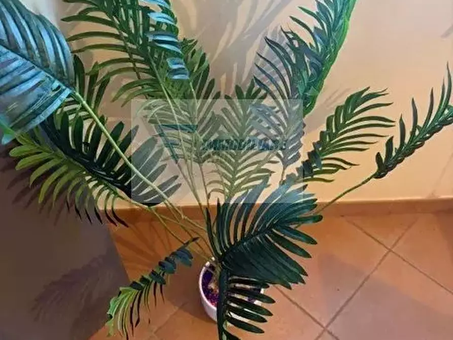 Immagine 20 di Casa trifamiliare in vendita  in Via Brancati a Buccheri