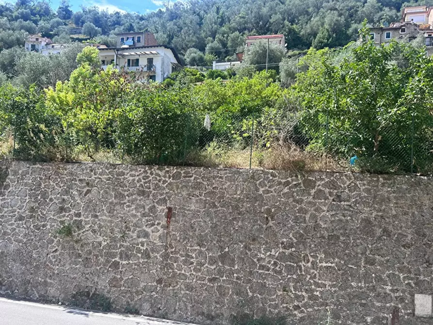 Immagine 19 di Casa trifamiliare in vendita  a Airole